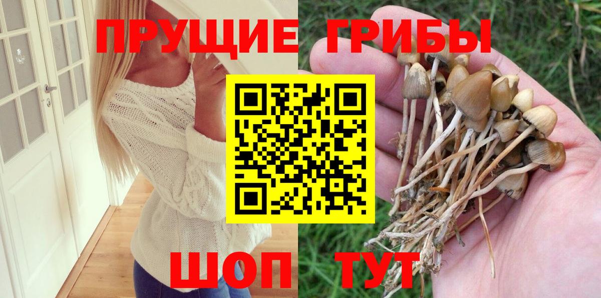 Псилоцибиновые грибы Psilocybe  Псилоцибиновые грибы мицелий  Анапа  Вход с VPN 